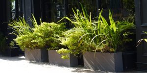 Rectangular Planters