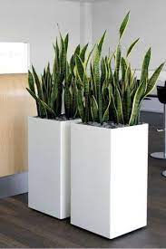 Square Planters